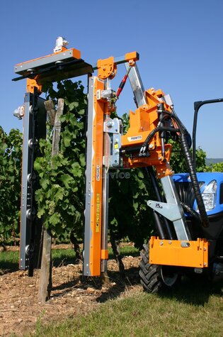 Provitis Laubschneider ÜBZ
