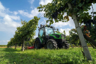 Deutz Weinbergschlepper 5095 DS GS