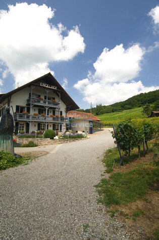 Ausbildungsplatz zum Winzergeselle m/f/d am Hochrhein