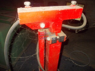 Kopf - Laubschneider - Bock