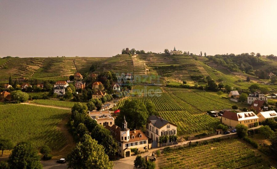 Bild 1 Leiter für Weinbau und Önologie