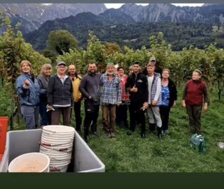 Mitarbeiter für diverse Weinbergarbeiten