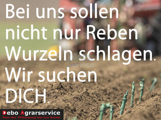 Landmaschinenführer /in gesucht