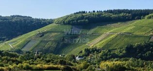 Saarburger Kupp 3.775m2