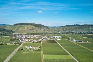 MOSEL 24er Burgunderweine 