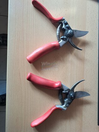 2 Rebscheren 