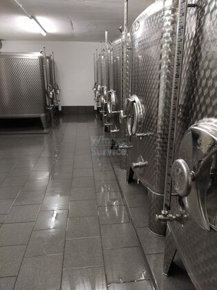Mosel - 24er Chardonnay