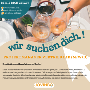 Projektmanager Vertrieb B2B (m/w/d)