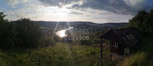 Württemberg -16 ar Weinberg, Freizeitgrundstück