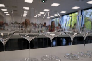 Grundlagen der Sensorik - Seminar