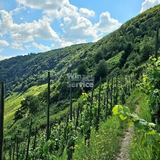 Mosel: Ausnahme-Weingut mit 8 Hektar zu verkaufen