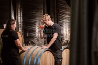 Winzerausbildung 2025-26