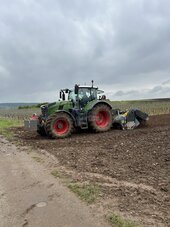 Bild 5 Pflanzung Mosel 