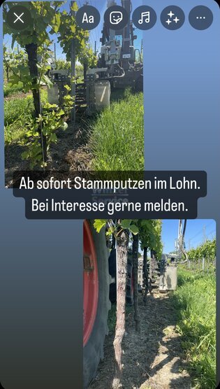Stammputzen im Lohn
