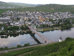Mittelmosel Rebfläche