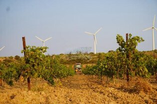 Gründe dein Weingut / Weinfelder in Südfrankreich zu verkaufen