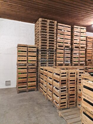 1x1 m Paletten, Glaspaletten (1 x1,20 m)
