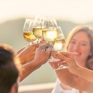 Heitlinger Weinbusiness - Verkauf & Vermittlung von Weingütern