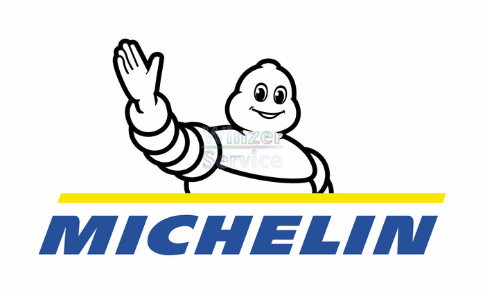 Michelin Reifenwerke AG & Co. KGaA