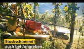 Bild 5 Ilmer 