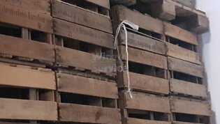 Holz Weinkisten 15 Flaschen 