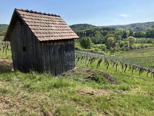 Württ. Weinsberg Weinberg/Freizeitgelände 