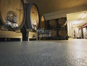 Bild 3 Mitarbeiter/in Vinothek - Weinverkauf - Weinverkostungen