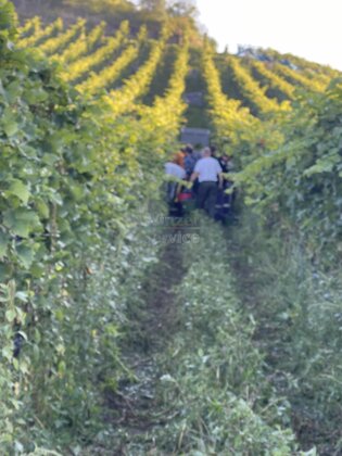 Saisonarbeiter suchen Arbeit 